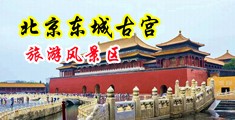 内射视频操逼大屌导航中国北京-东城古宫旅游风景区